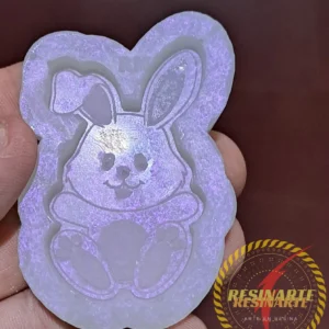 Llavero Conejo Con Diseño Grabado Especial Para Pascuas