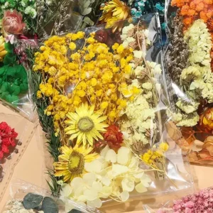 Bolsa De Flores, Plantas y Hojas Secas Grande (15 A 23 GRS) 
