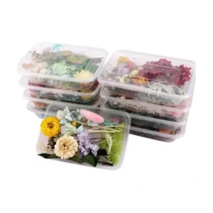 Caja De Flores, Plantas y Hojas Secas